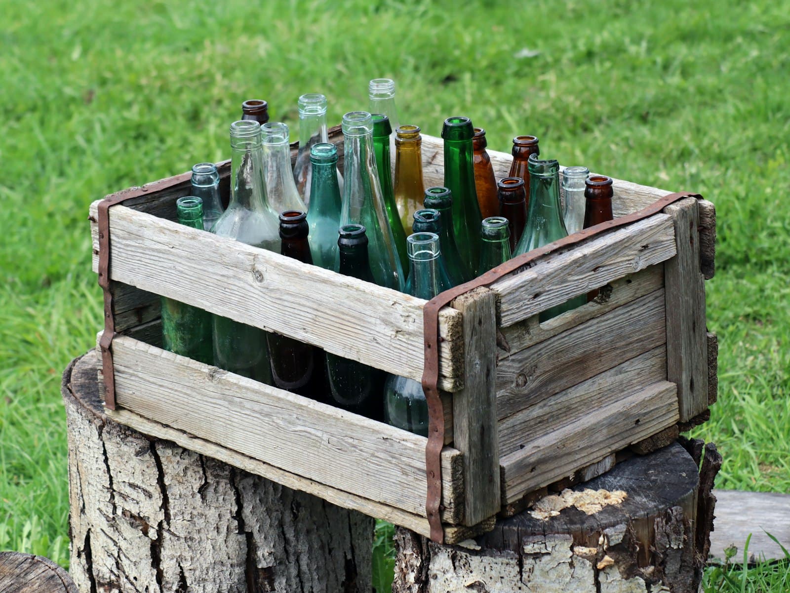 Caja de madera llena de botellas de vidrio vacías, verdes, marrones y transparentes, sobre un tocón